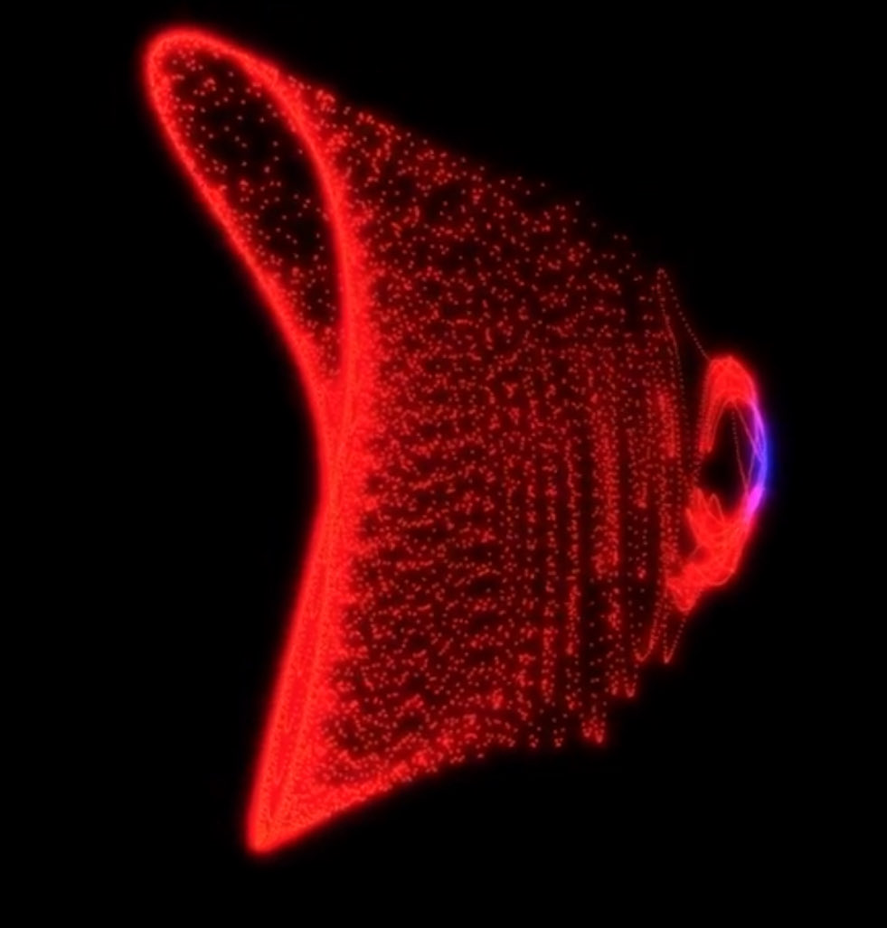 Mathelirium tweet media