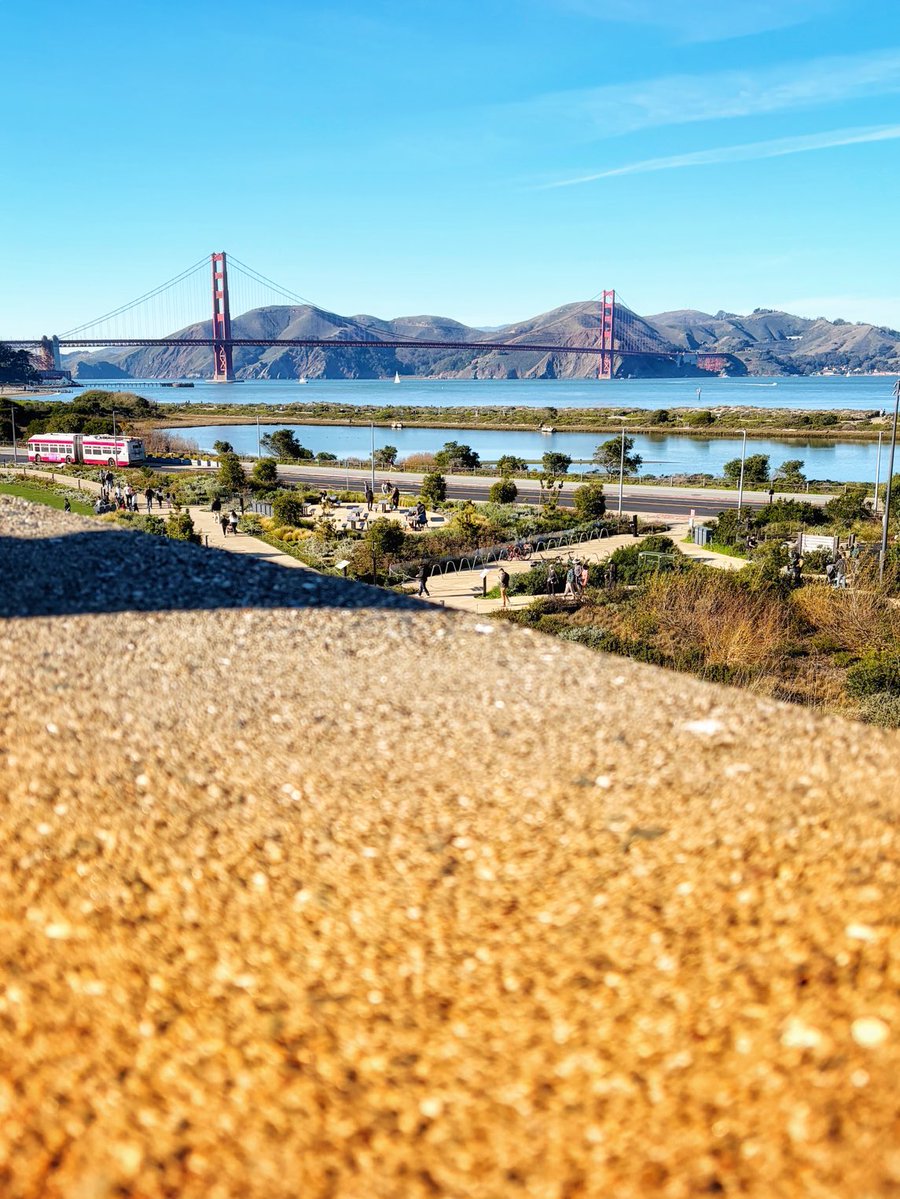 Sheldon Kee tweet media