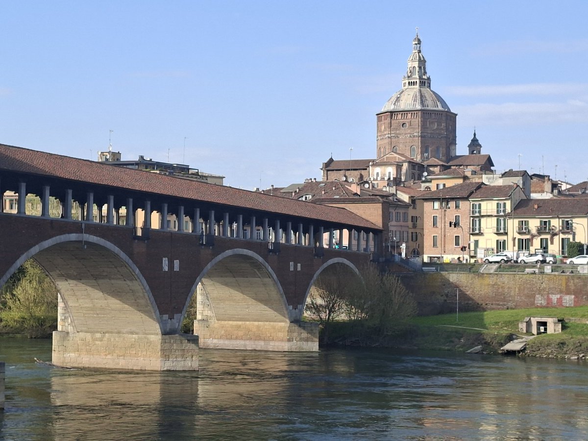 Paliparan tweet media