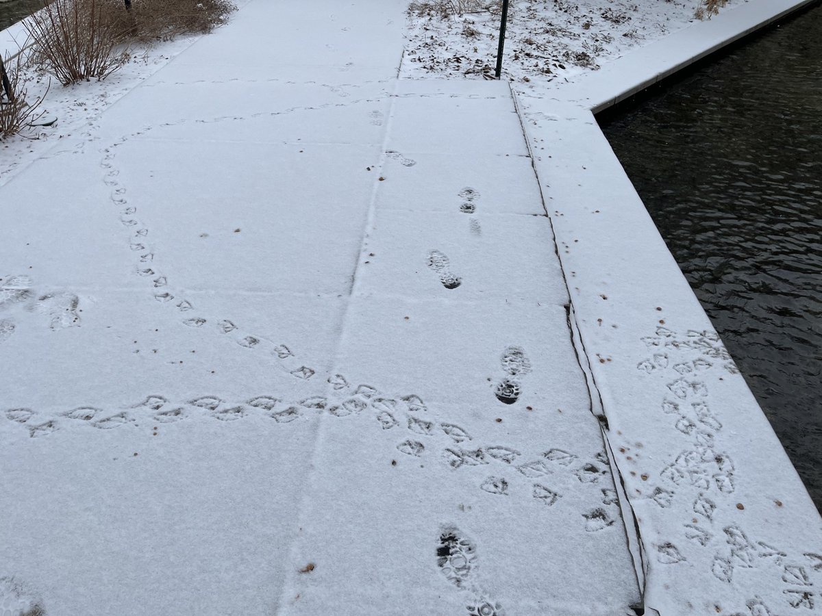 Jerry Coyne tweet media