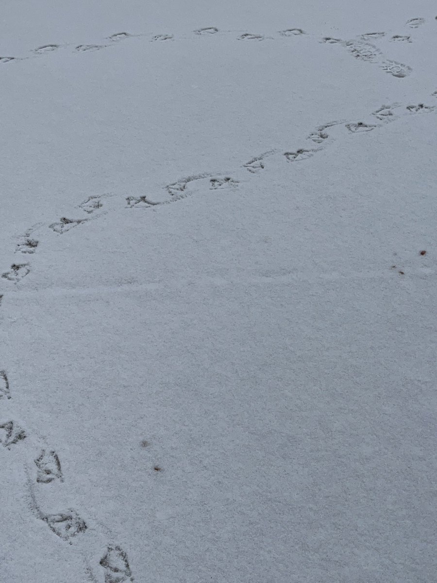 Jerry Coyne tweet media