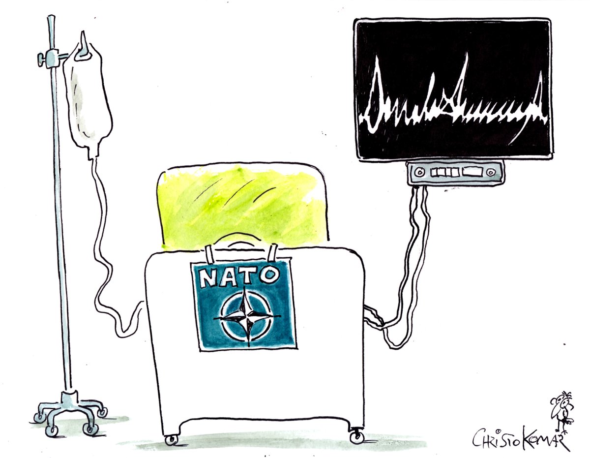 Christo Komarnitski tweet media