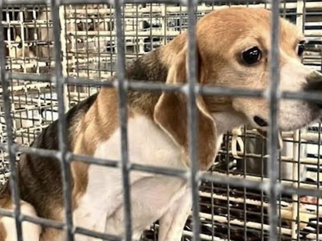 NothingIsArt tweet media