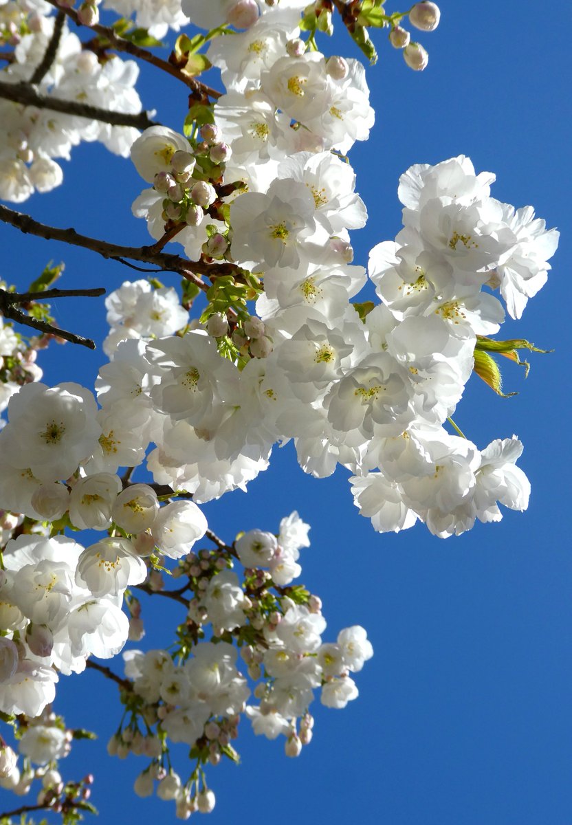 Beatrice Groves tweet media