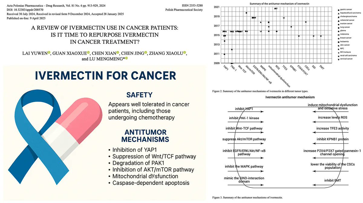 Nicolas Hulscher, MPH tweet media
