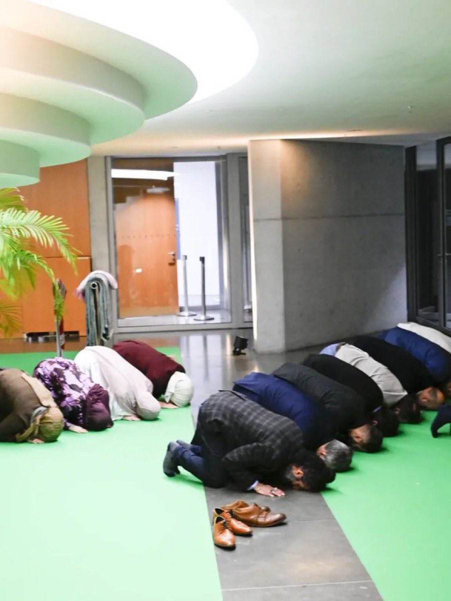 Anabel Schunke tweet media