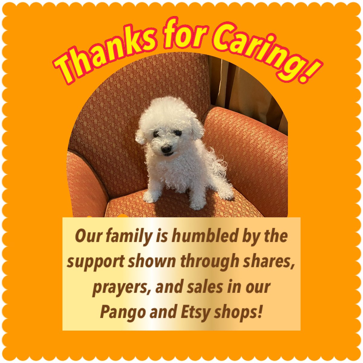 Little Bear tweet media