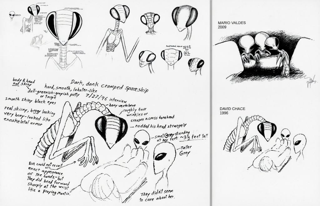 Tom Thompson🛸 (ＣＯＲＴＥＸ ＺＥＲＯ) tweet media