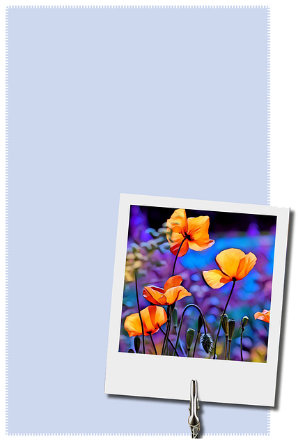 Kathleen Allen tweet media