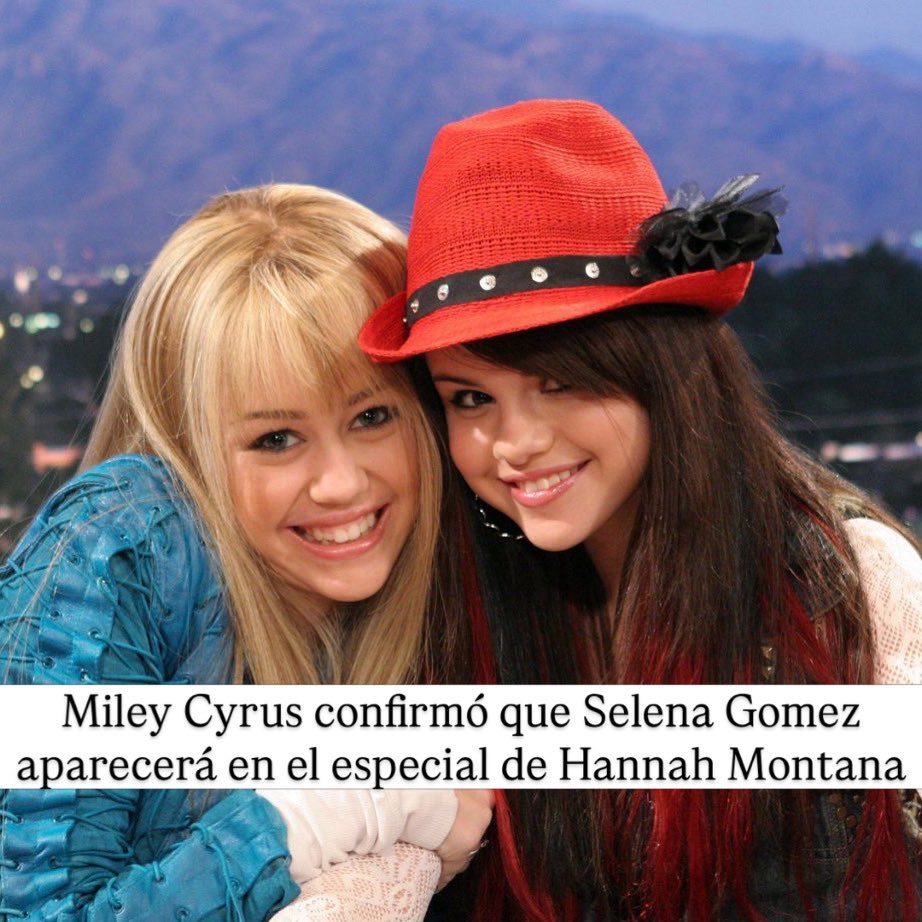 Reportero Rosa tweet media