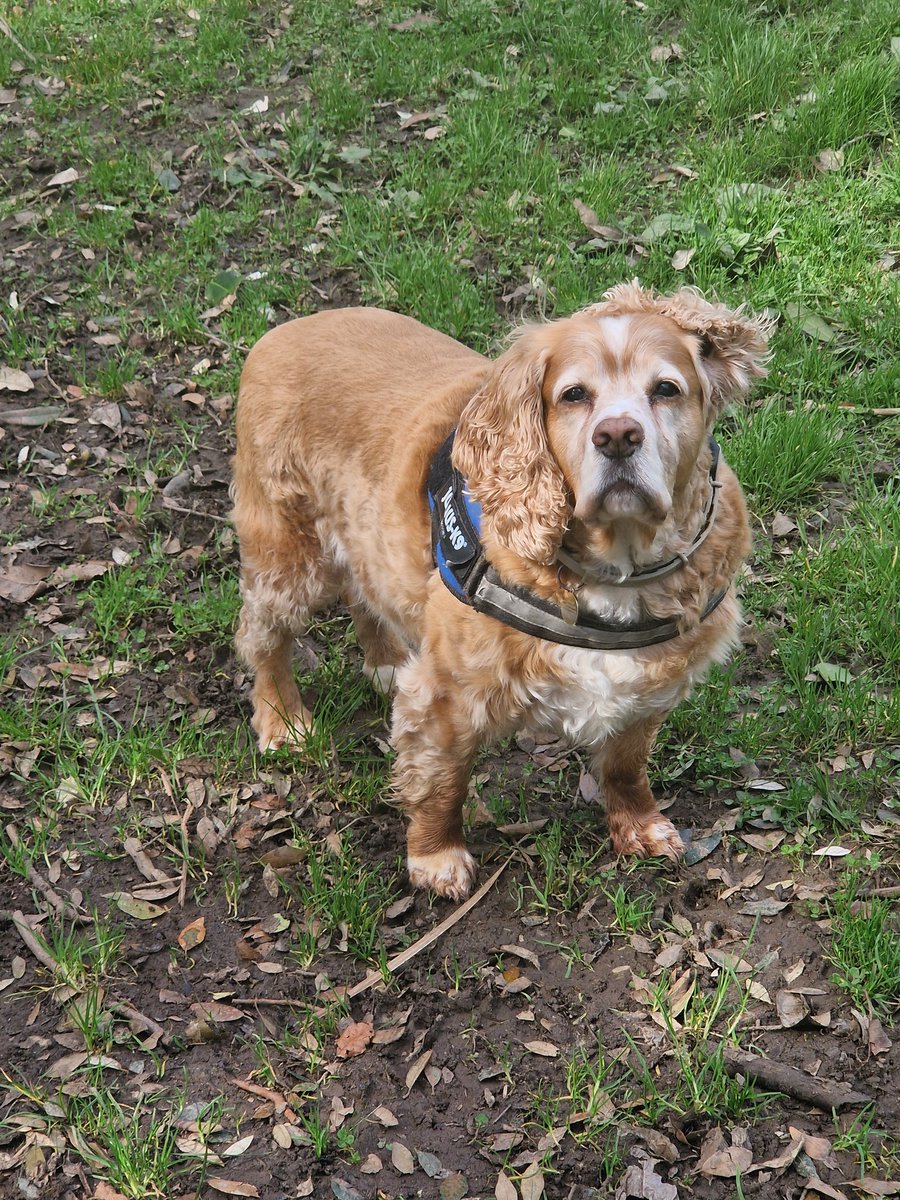 Sam De Rowe tweet media