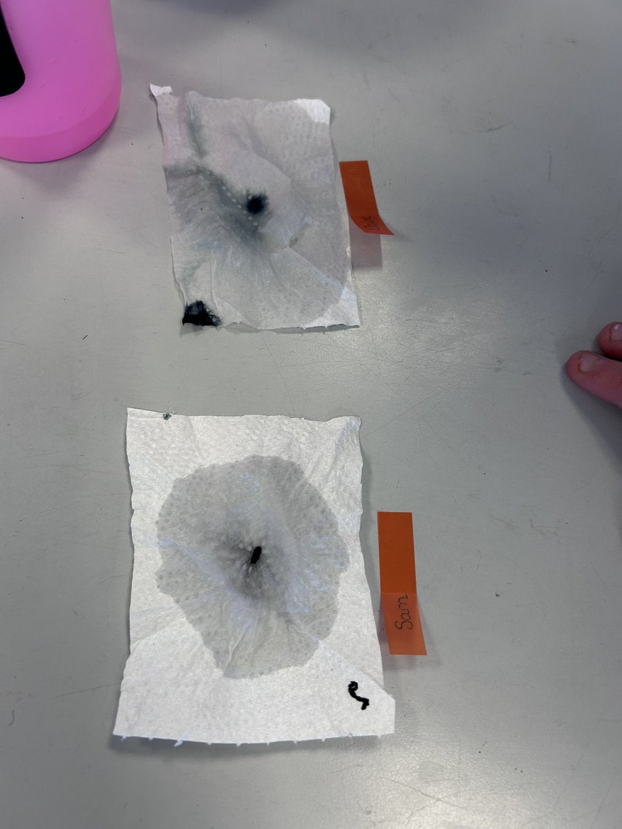 Long Ridings Primary School tweet media