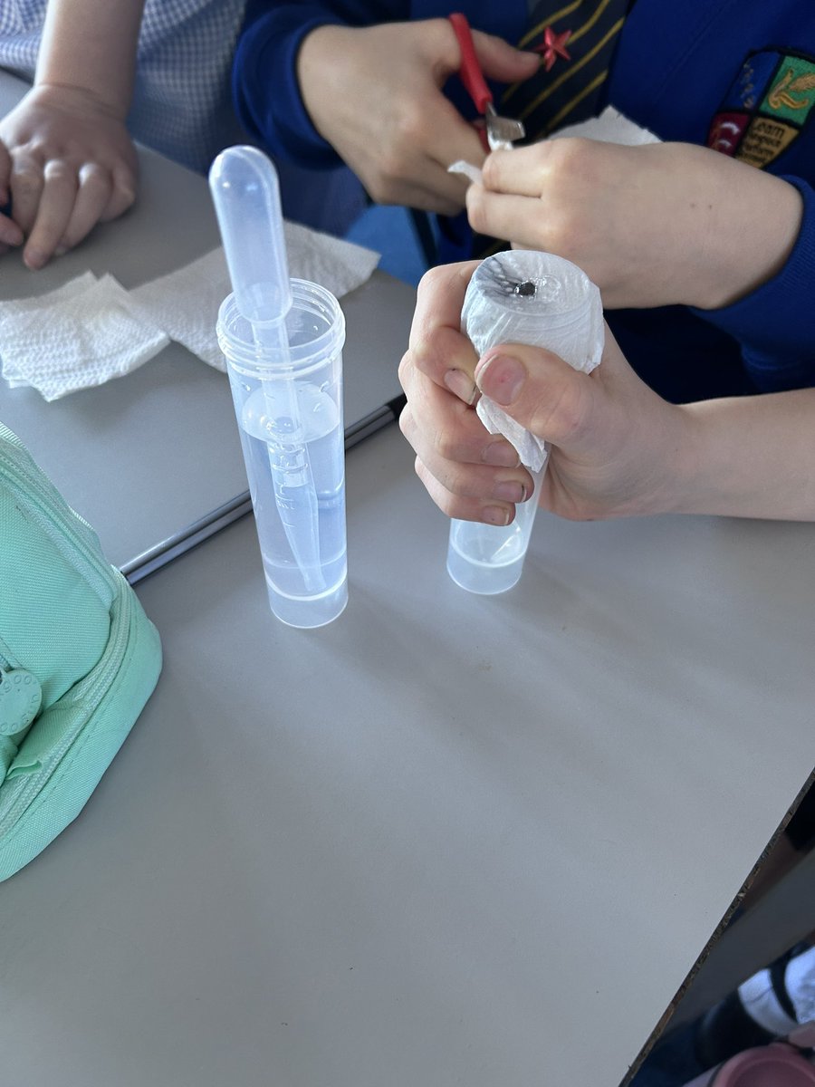 Long Ridings Primary School tweet media