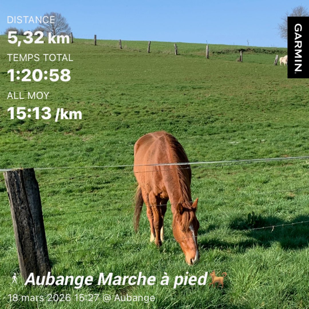 Didier FLECHE 🇧🇪🏊‍♂️🚴‍♂️🏃🏻‍♂️ tweet media