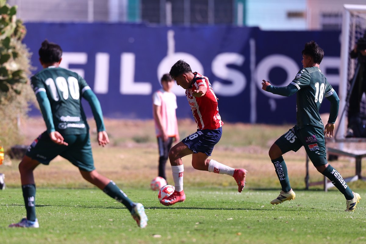 Cantera Rojiblanca tweet media