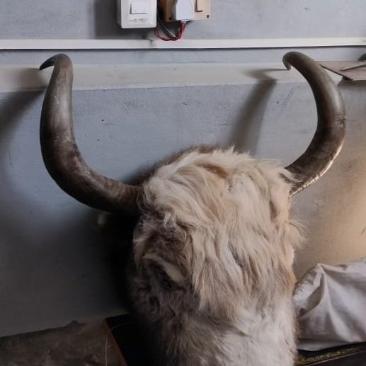 CryptoGoD tweet media