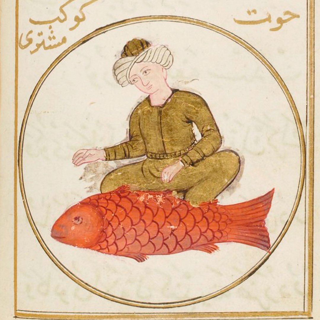 Symbolic Studies tweet media