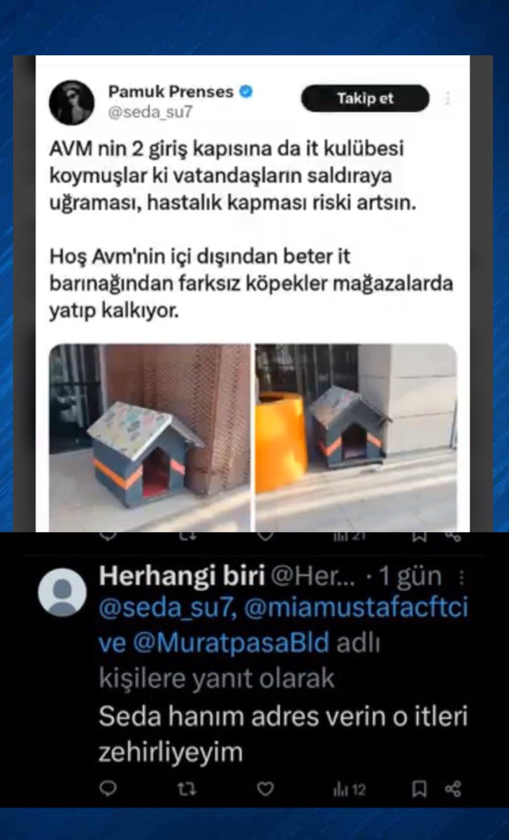 Serap Ulusoy 🦋 tweet media