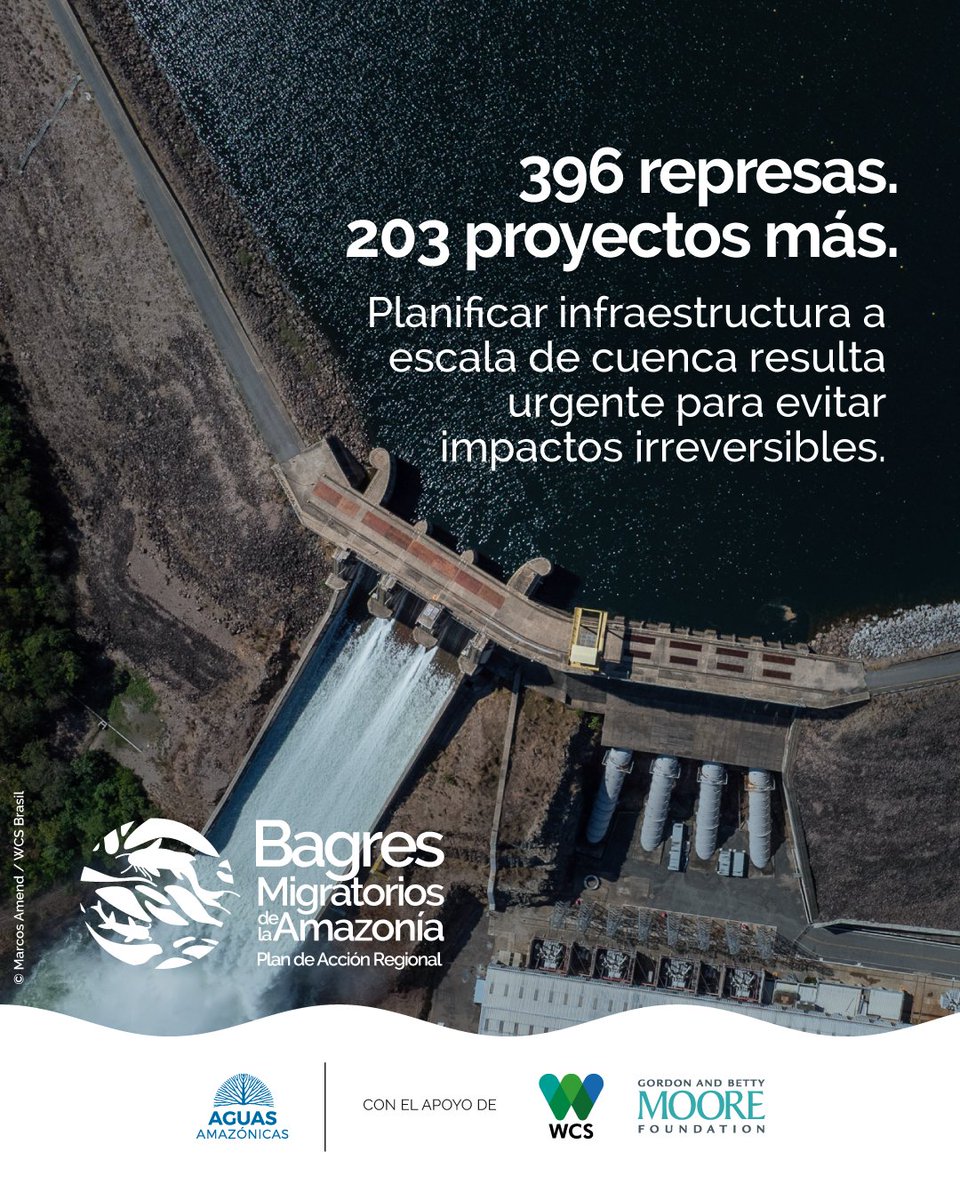 Aguas Amazónicas tweet media