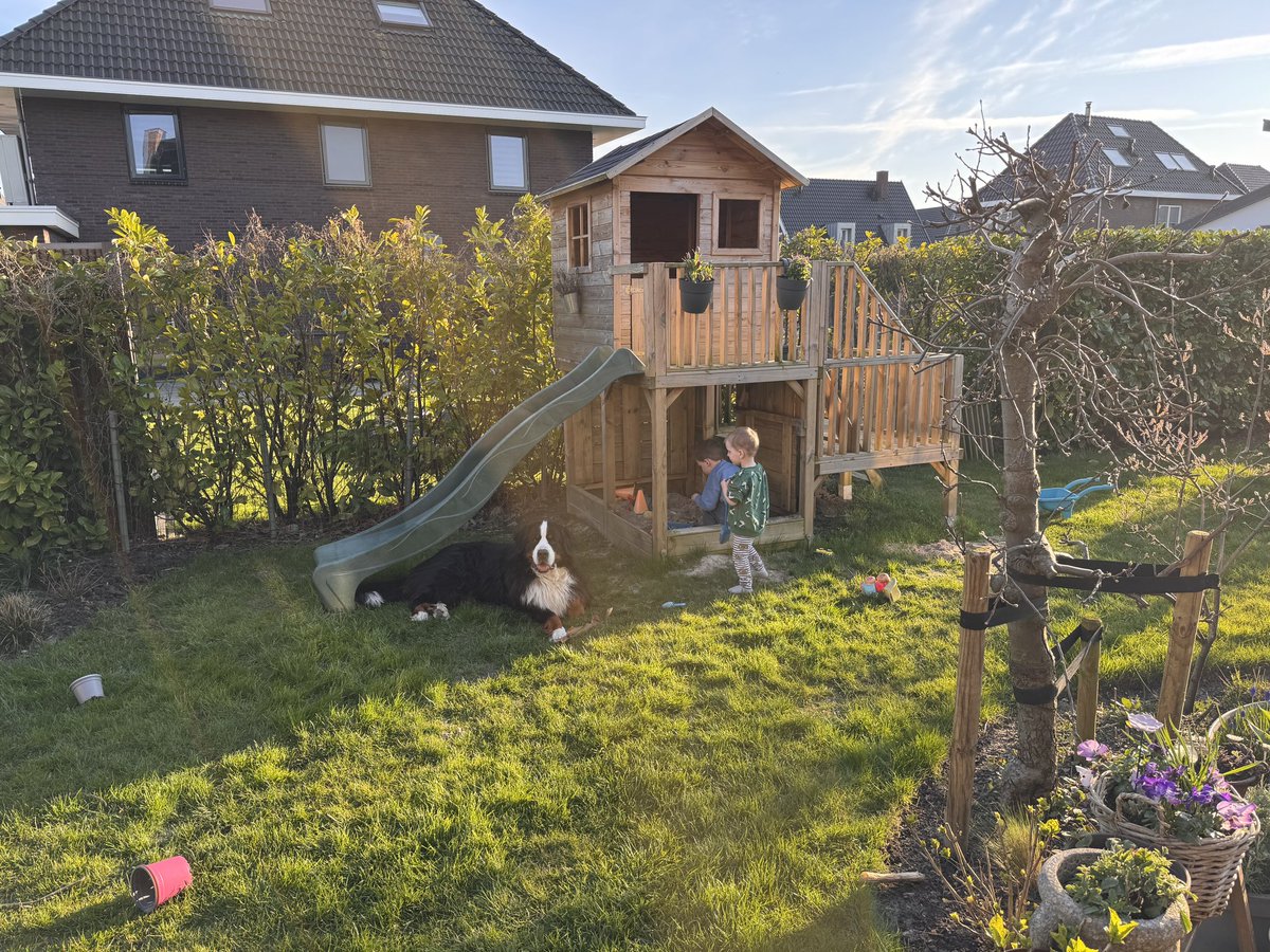 Antoine v.d. SwiftLee  tweet media