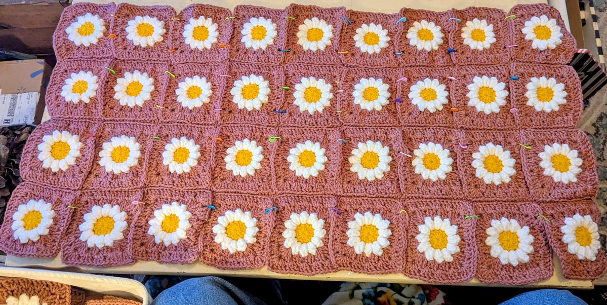 Dawn 🍎 Special Education Teacher 🍎 Texas tweet media