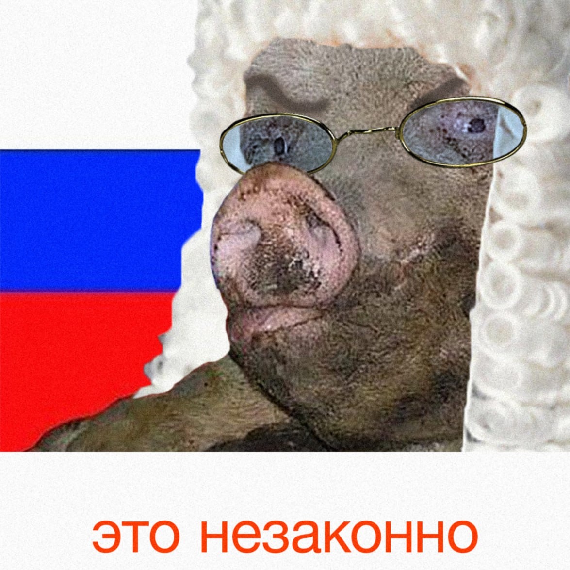 Київська Держава tweet media