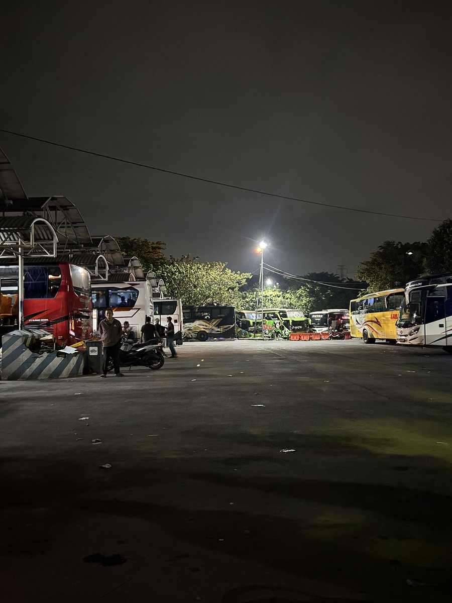 🐻🐻 tweet media