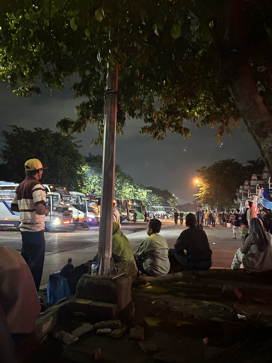 🐻🐻 tweet media