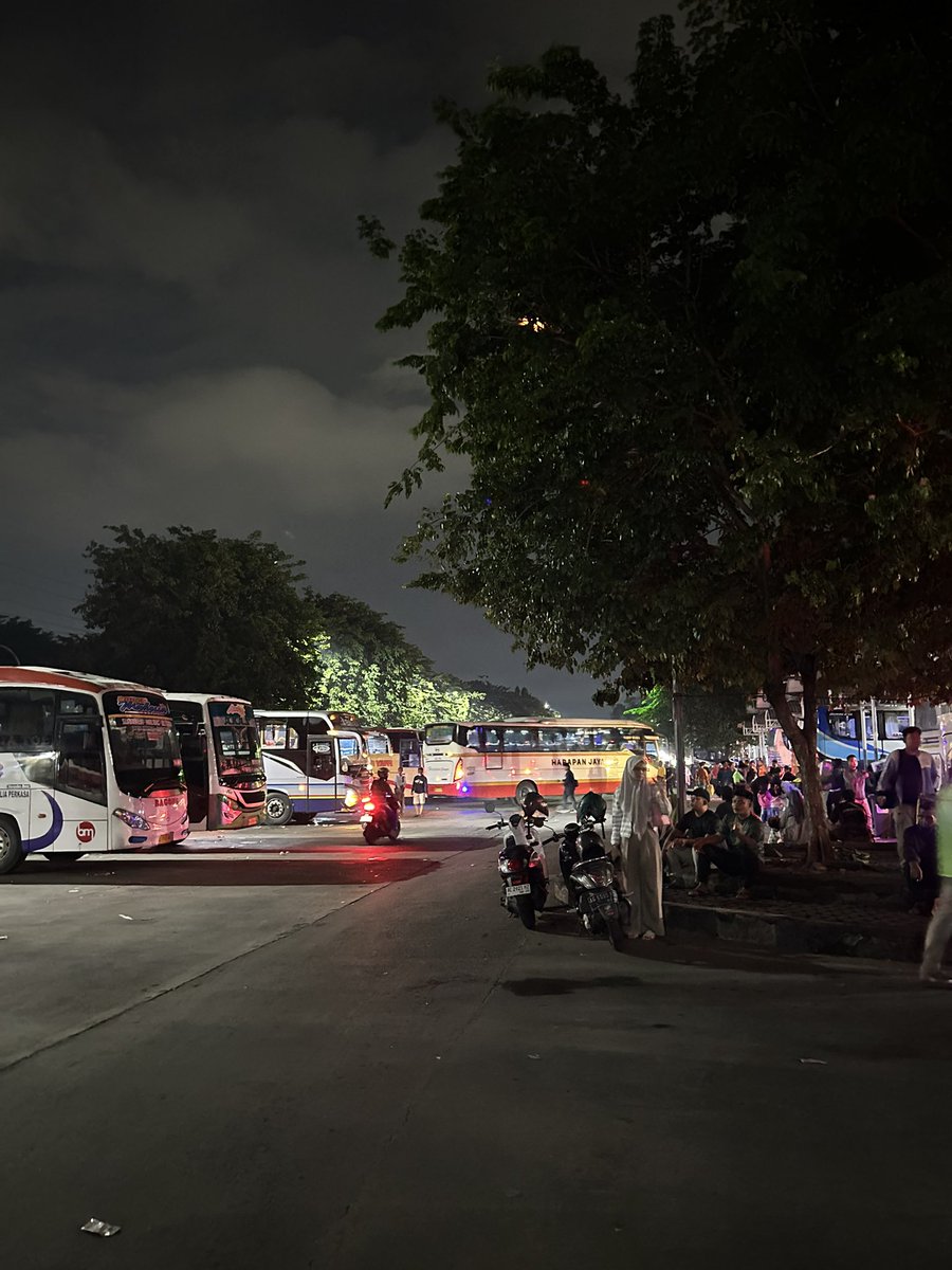 🐻🐻 tweet media