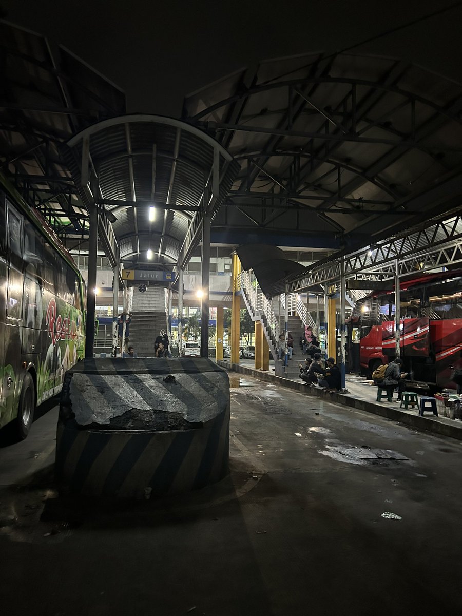 🐻🐻 tweet media