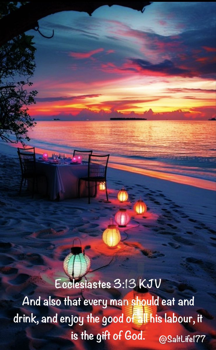 Saltlife1👠 tweet media