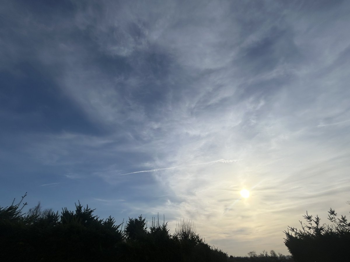 @ChatsWithEm tweet media