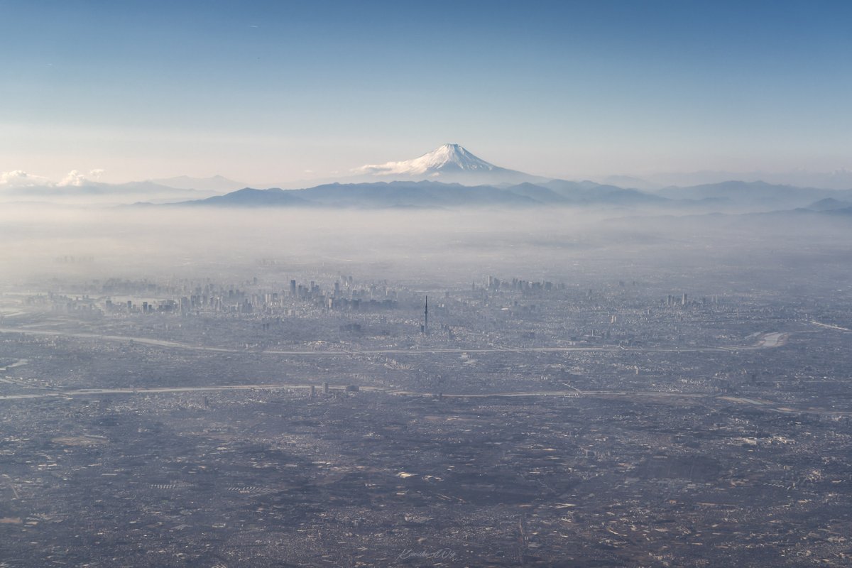 kenichi.wiz tweet media