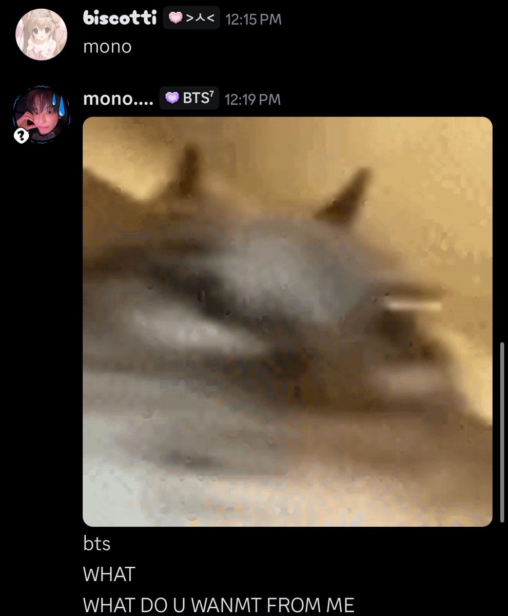 chocogirl tweet media