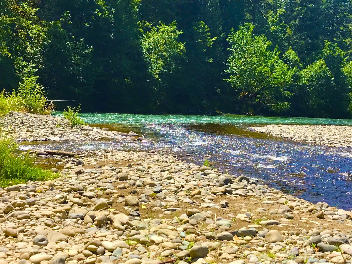 Jay Kay 🇺🇸 tweet media