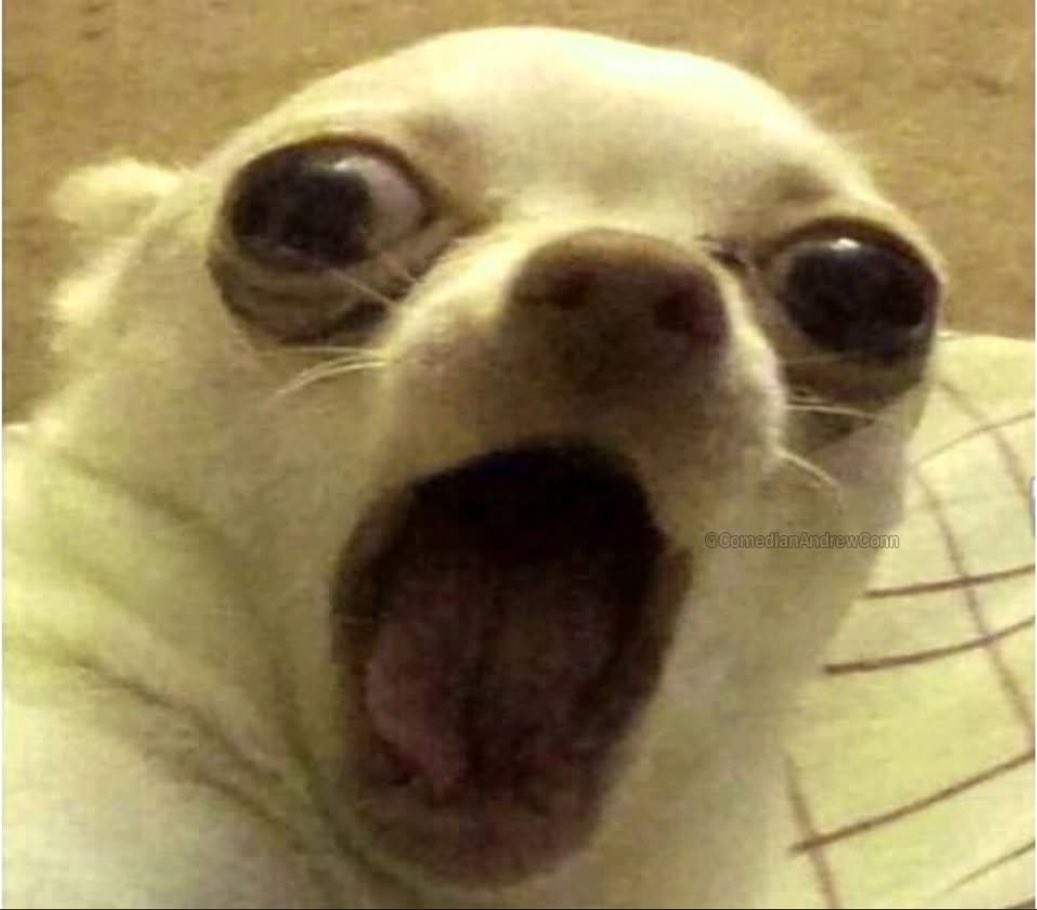 Rabe_Ruby🌚🌸 tweet media