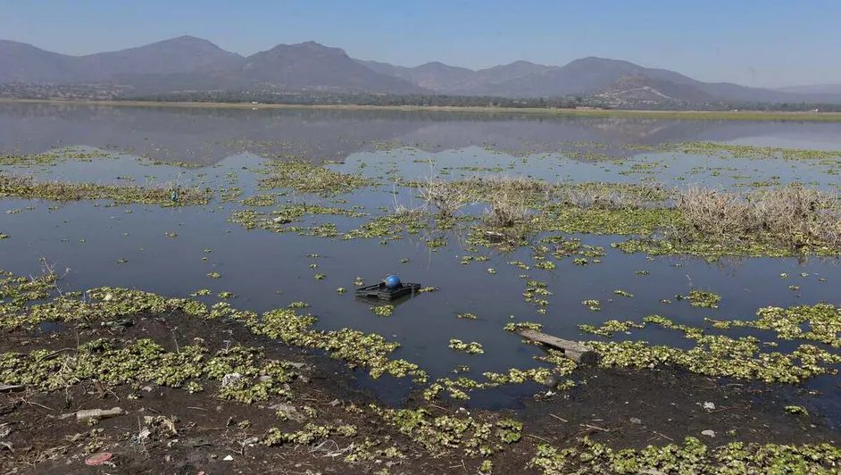 ConsejoAguaMX's tweet photo. #Agua de 35 mil años: el tesoro a 2 kilómetros de profundidad que podría salvar a #CdMx
Un investigador de la UNAM enfatiza que, tras 6 años de avances significativos en la investigación del acuífero ultraprofundo, resulta crucial reactivar los trabajos con pozos exploratorios, sin proceder a la extracción de agua.
https://t.co/VGDF3yhRRC
