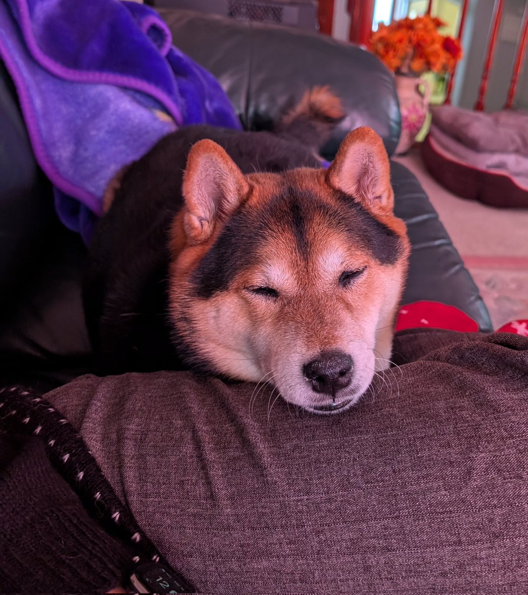 April 🕰️ Time Lady Vtuber ⏳ 🍉 tweet media