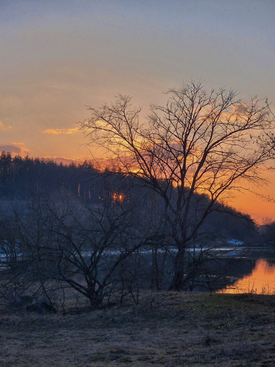 Аліса в країні Піздеts tweet media