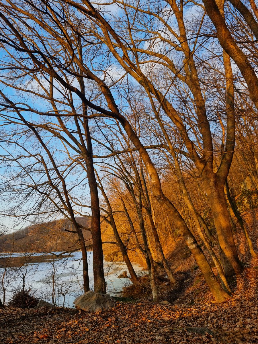 Аліса в країні Піздеts tweet media