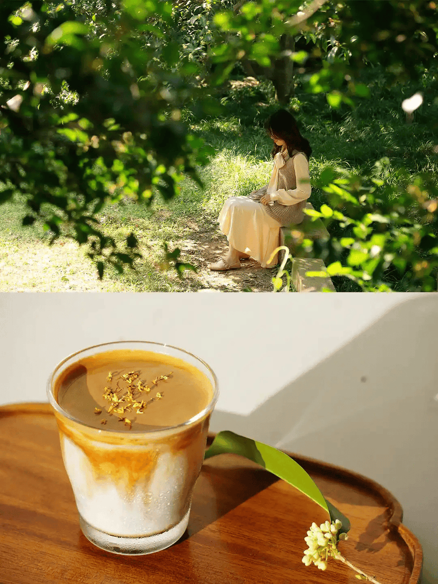 Aliberete tweet media