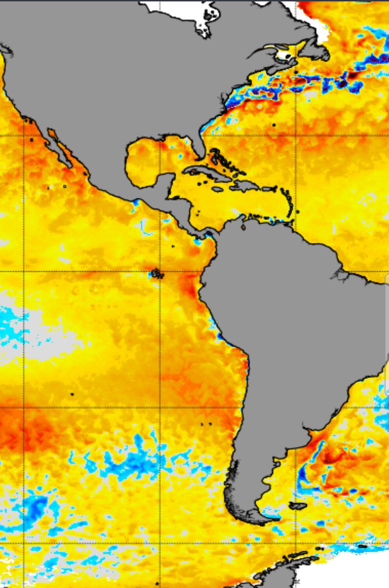 Matheus R tweet media