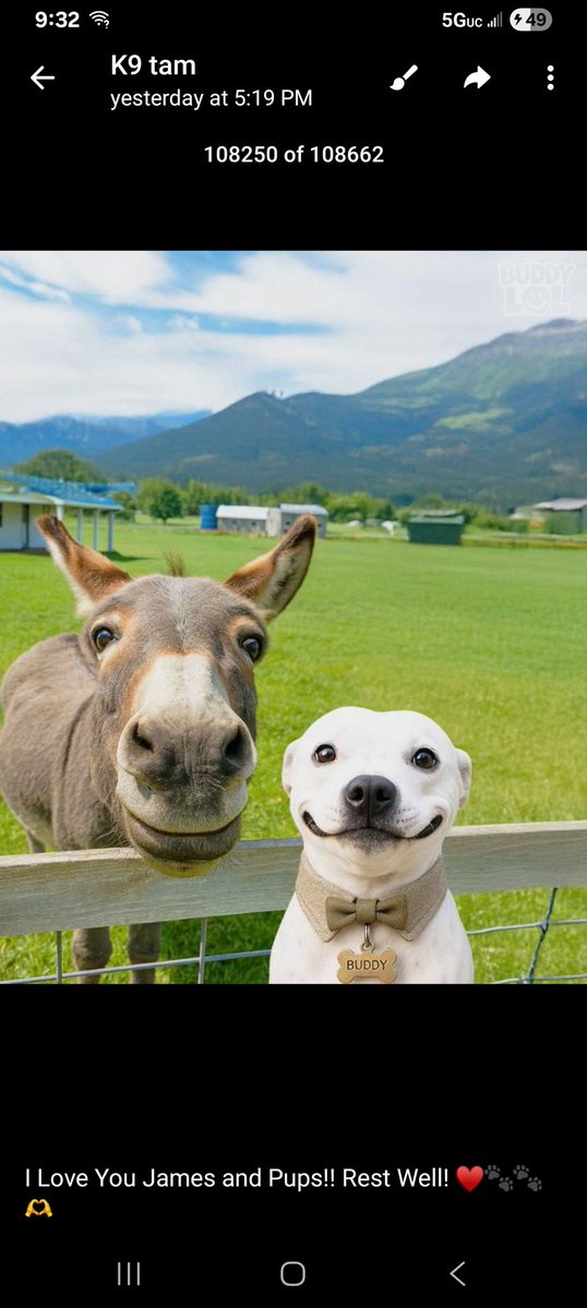 Mary K Pulido tweet media