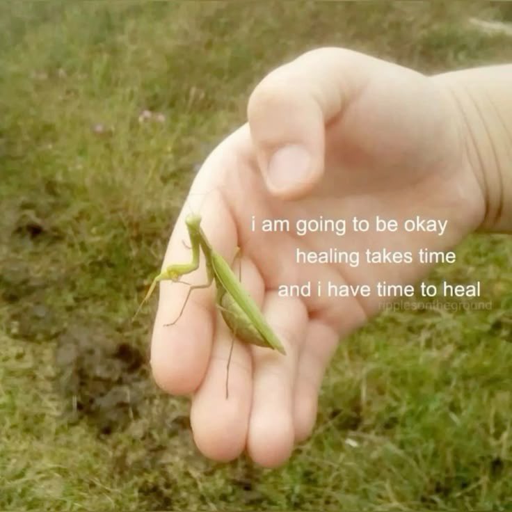 𝐌𝐢cheal 🦈 recoverytwt tweet media