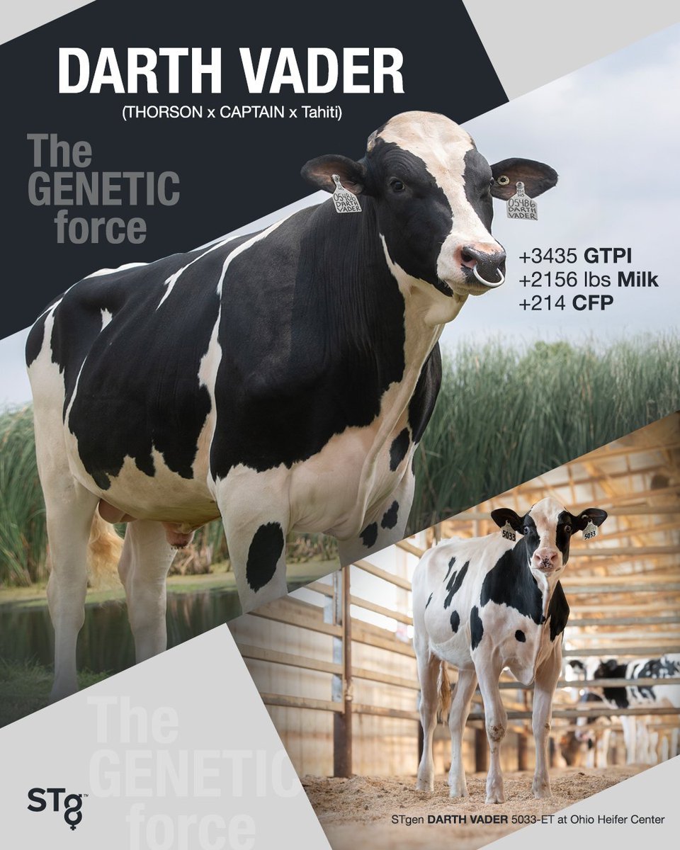 STgenetics tweet media