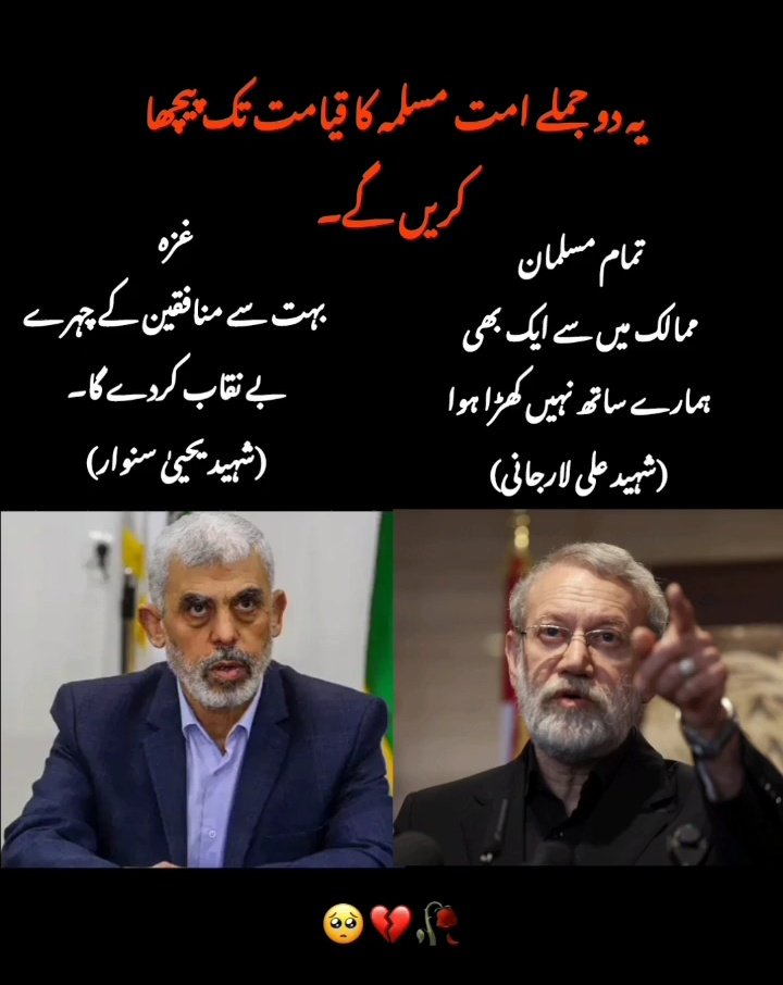 Fatema Haidery tweet media