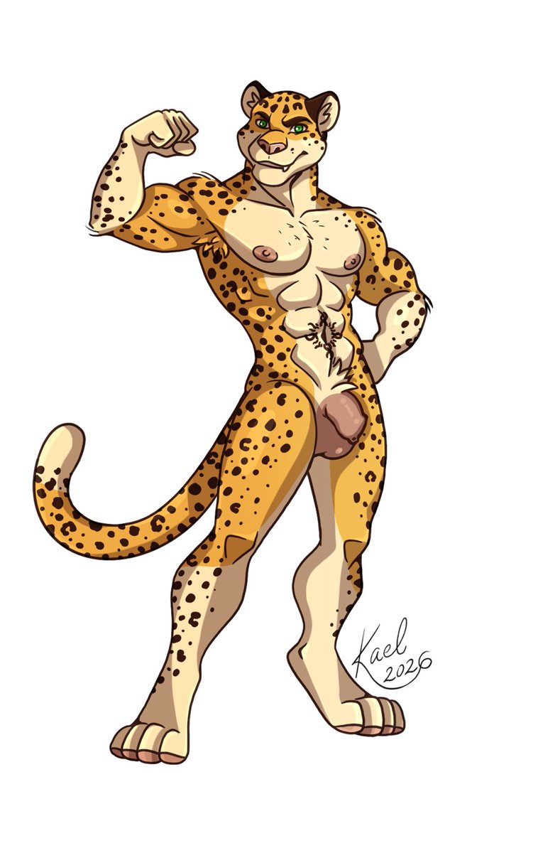 ✨Kael Tiger ✨ tweet media