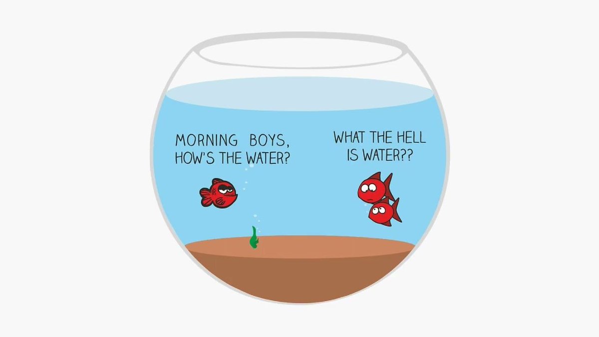 Duncan Cock Foster tweet media