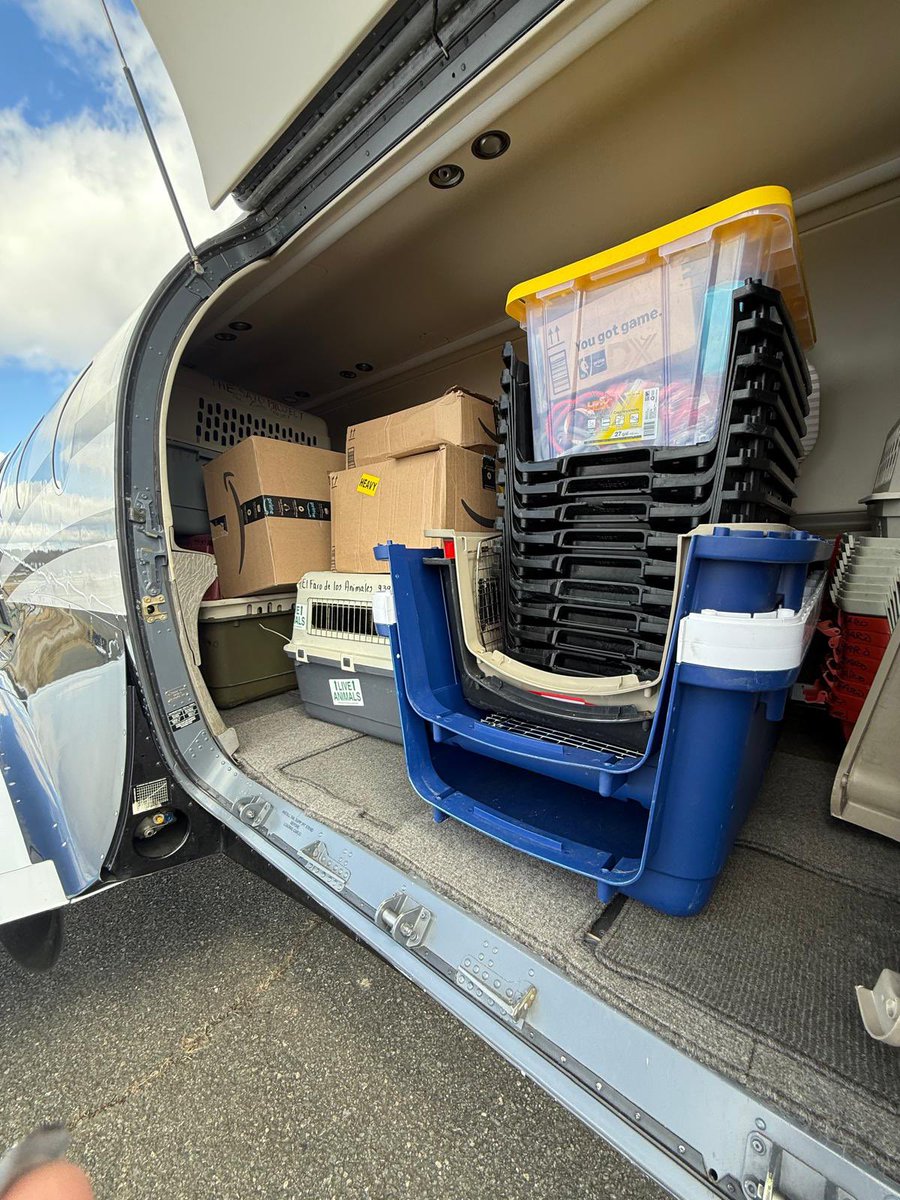 TheSatoProject tweet media