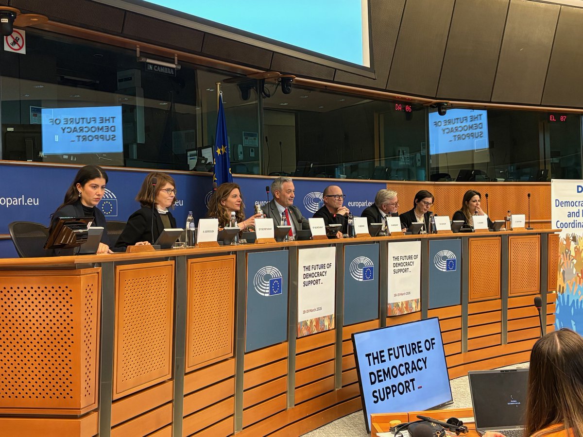 EP Democracy Support tweet media